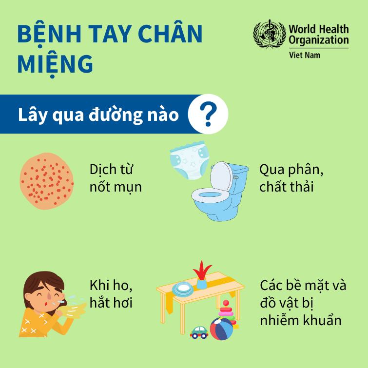 Tổ chức Y tế Thế giới khuyến cáo phòng bệnh Tay – Chân – Miệng
