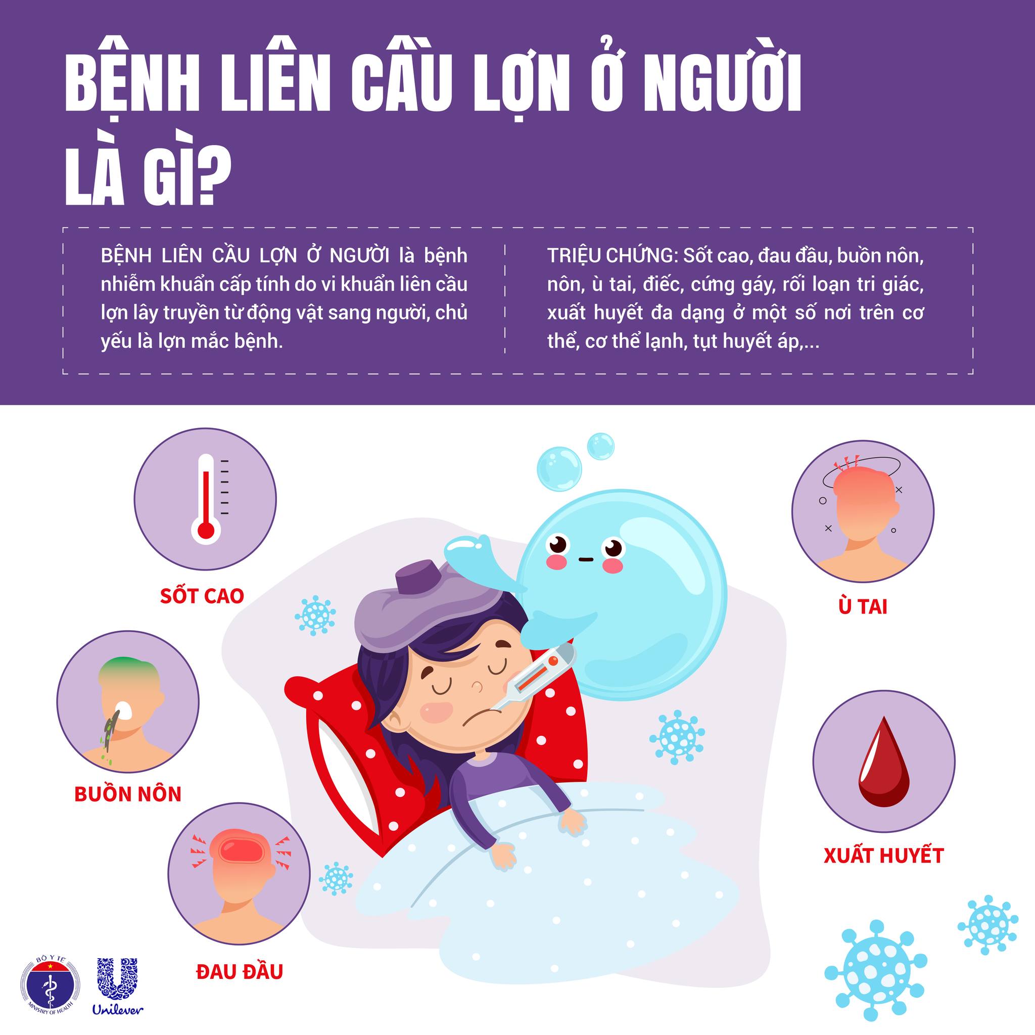 Những điều cần biết về bệnh liên cầu lợn ở người